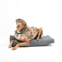 Kutyafekhely 90x50x10 cm