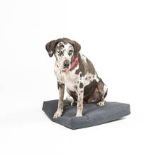 Kutyafekhely 50x50x10 cm