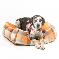 Letti per cani Letti per cani